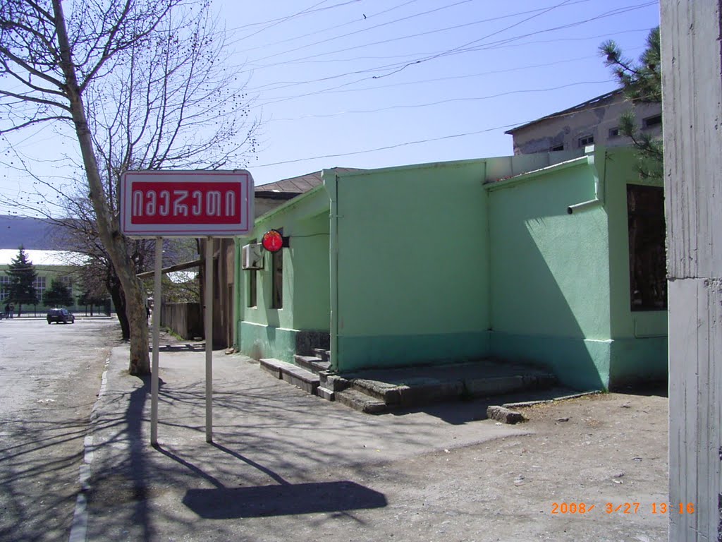 Gori 2008