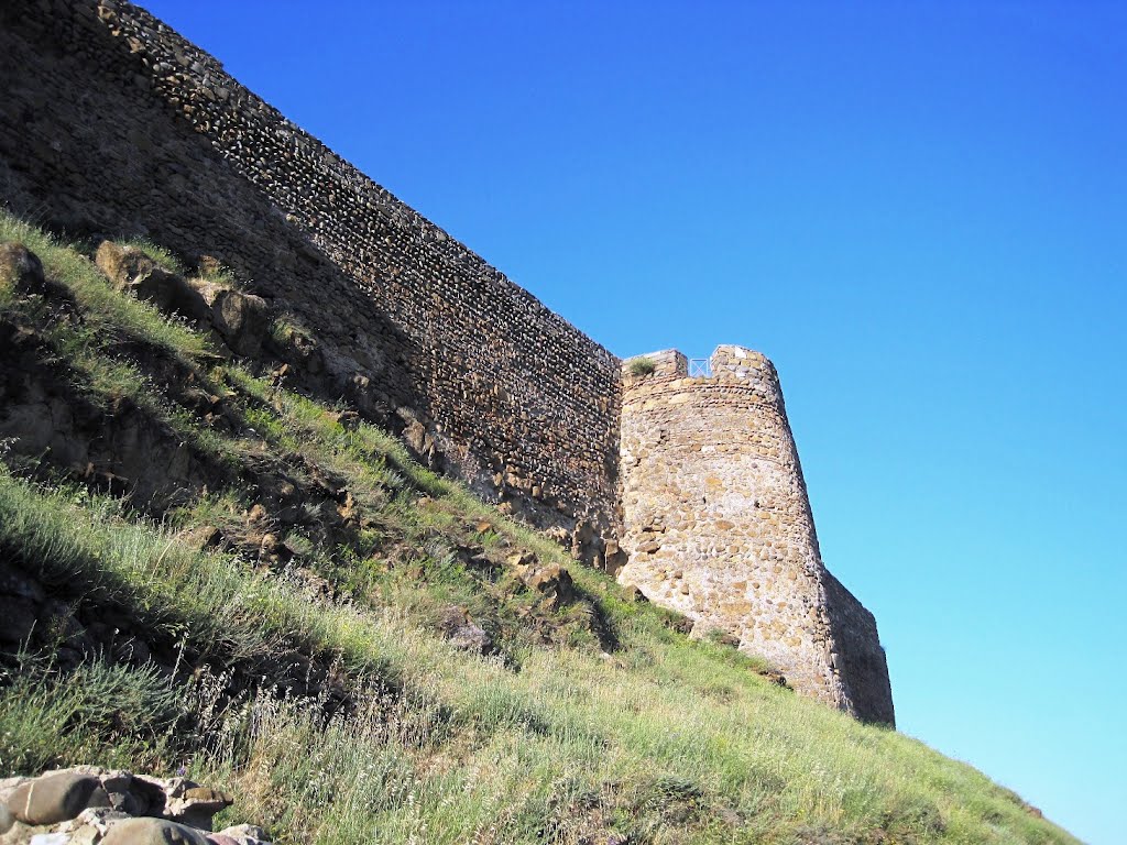 Fortress of Gori