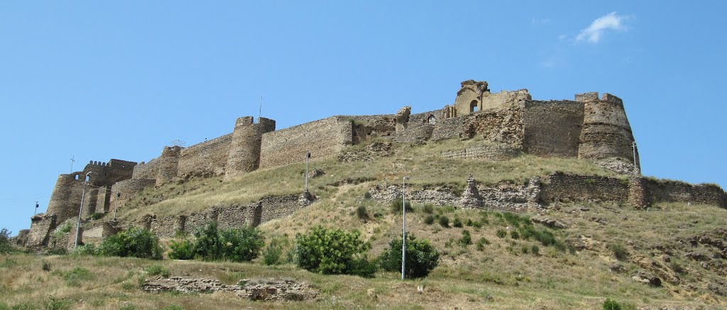 Gori