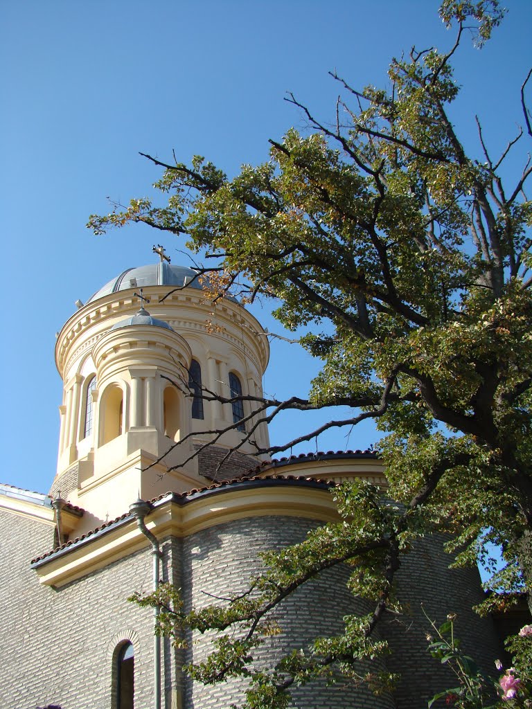 Gori