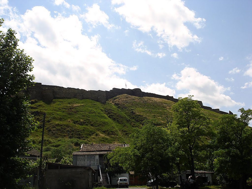 The Gori Castle
