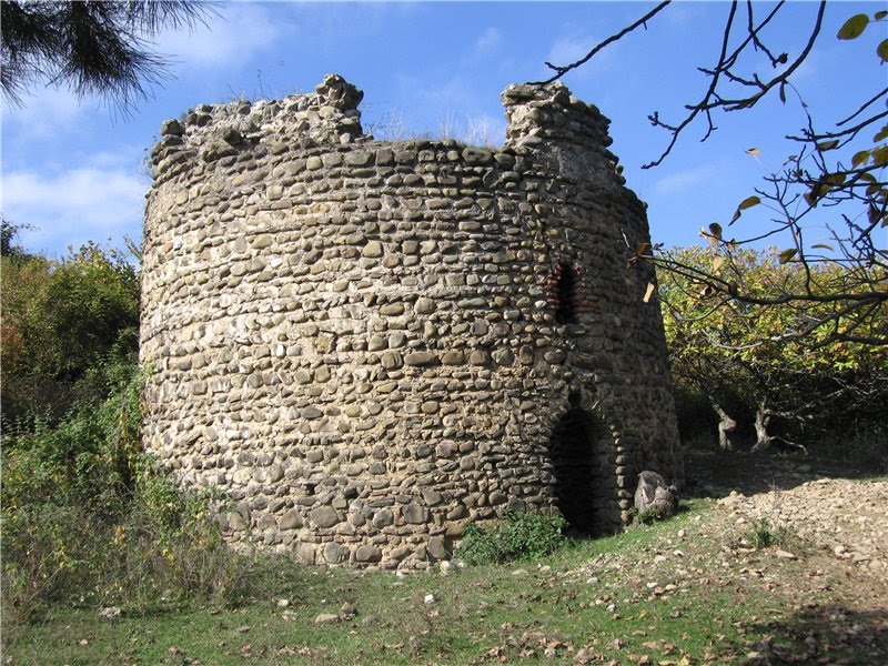 Tower house in village kolagia Gurjaani