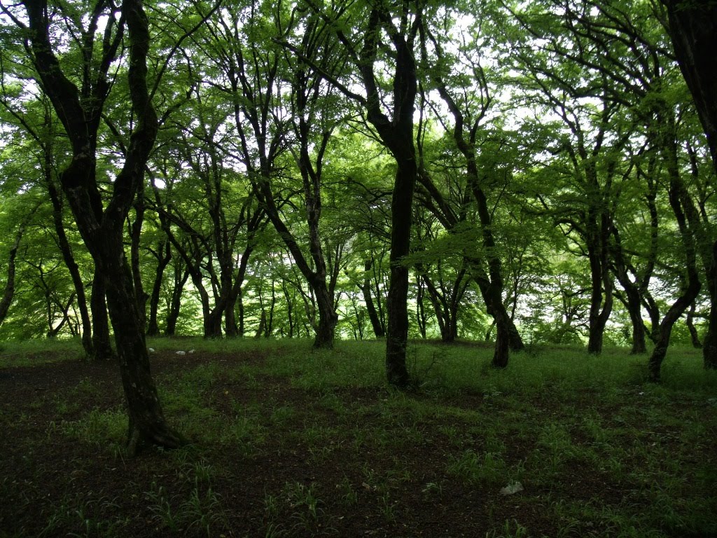 ახტალა