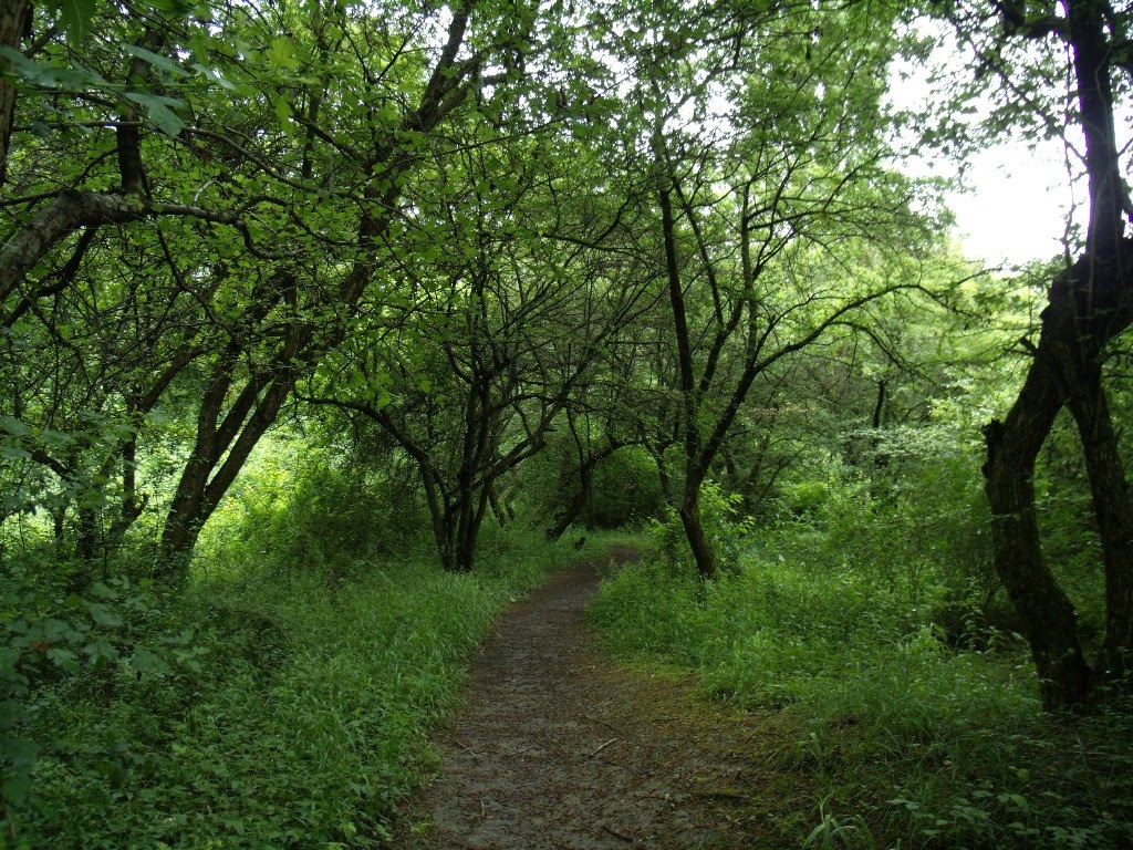 ახტალა