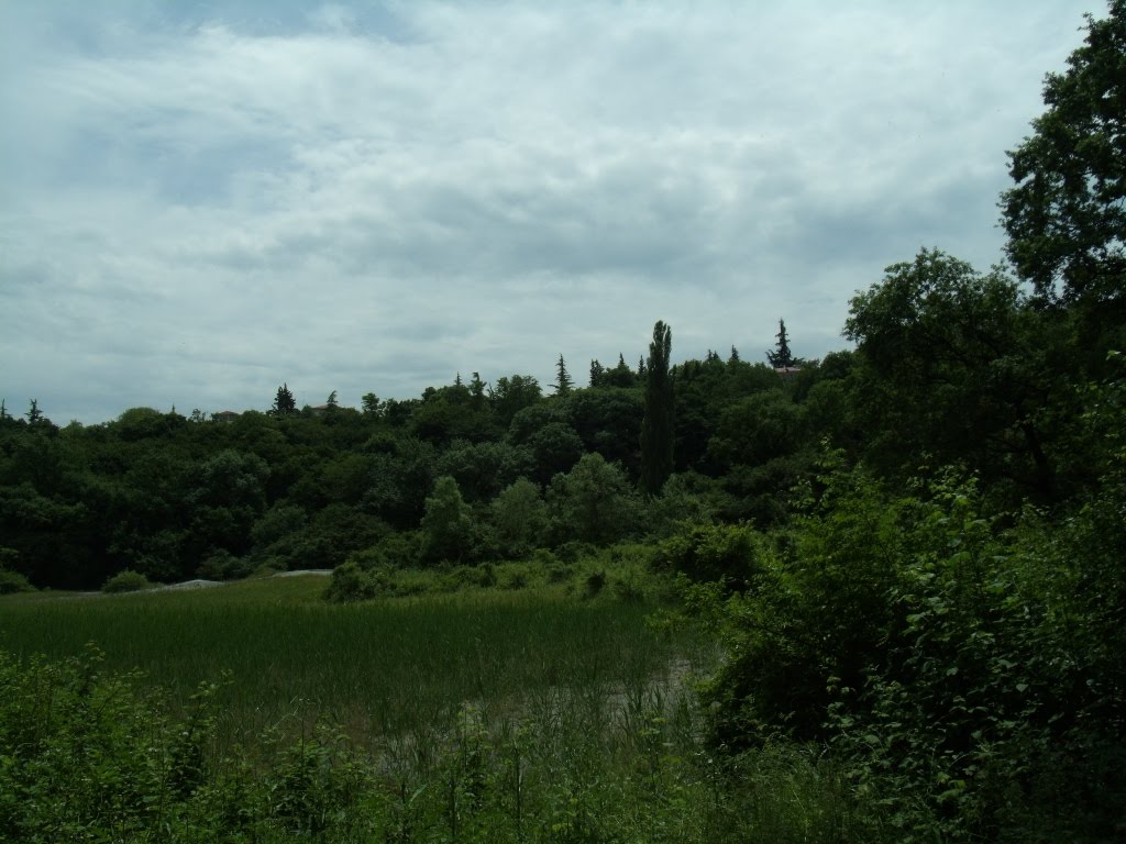 ახტალა