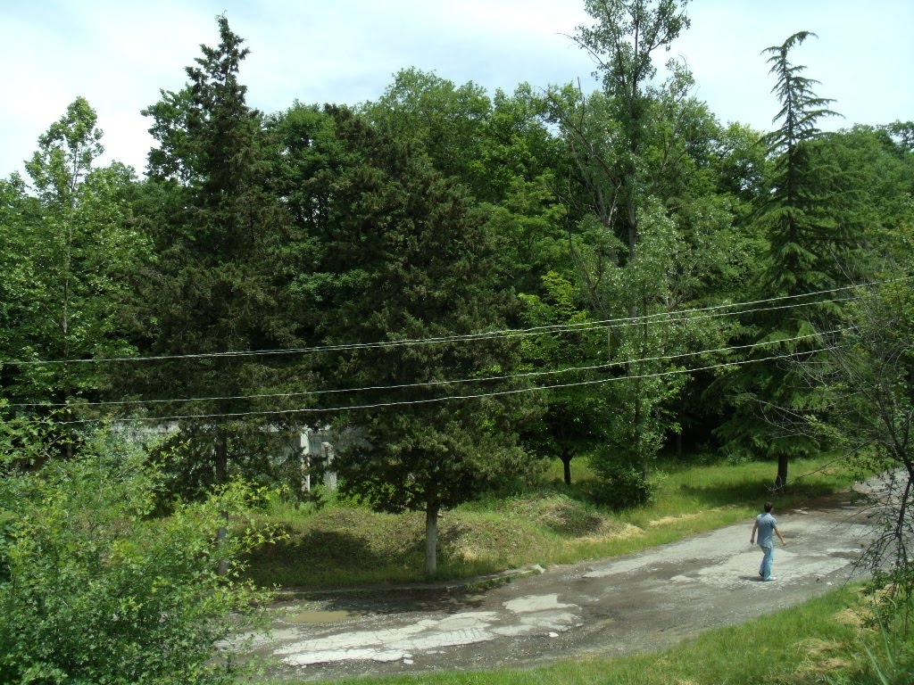 ახტალა