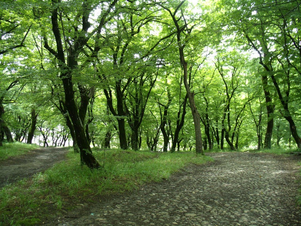 ახტალა
