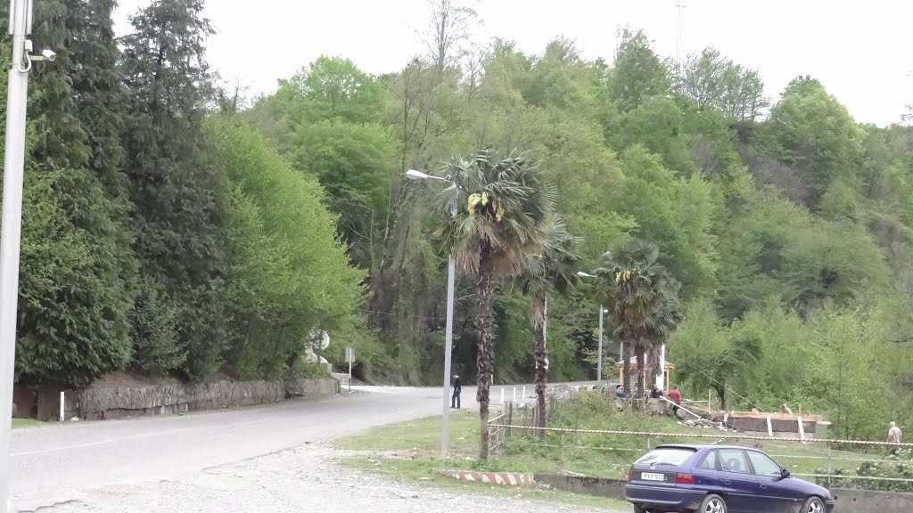 Djvari
