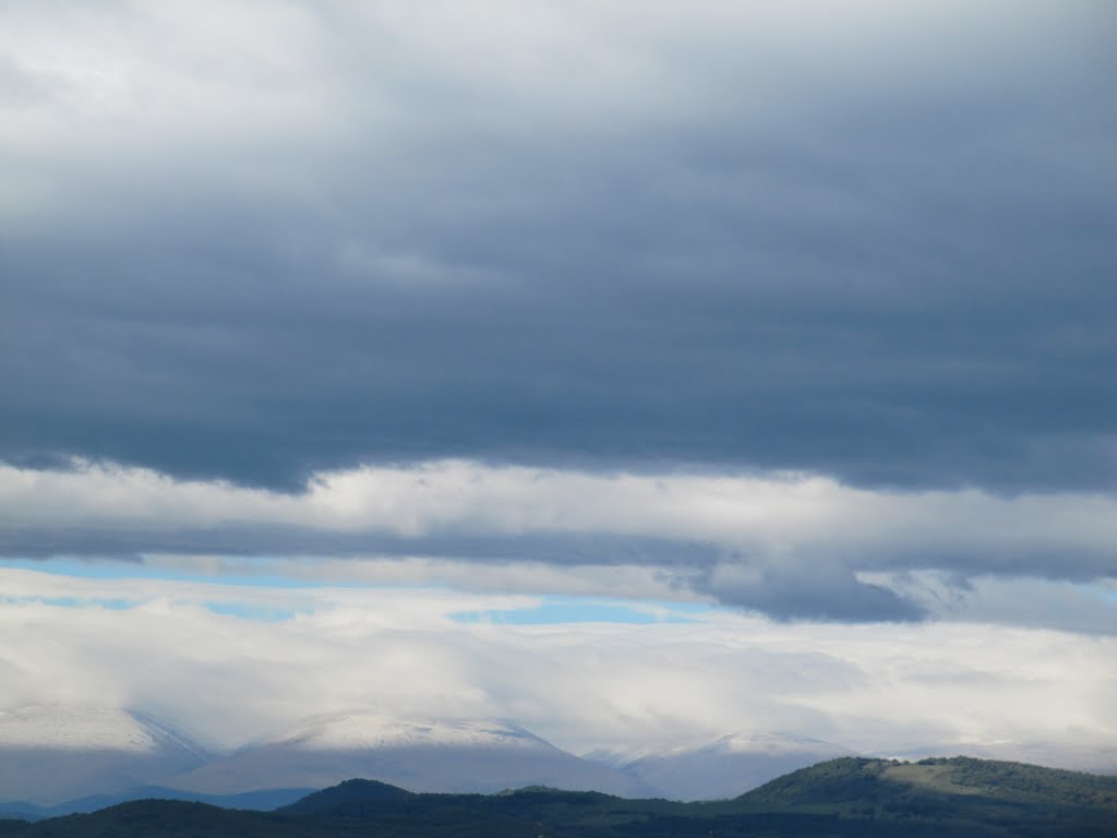Georgia