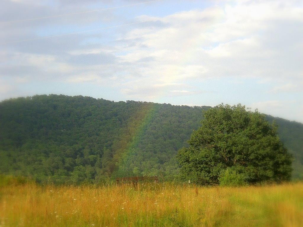 rainbow