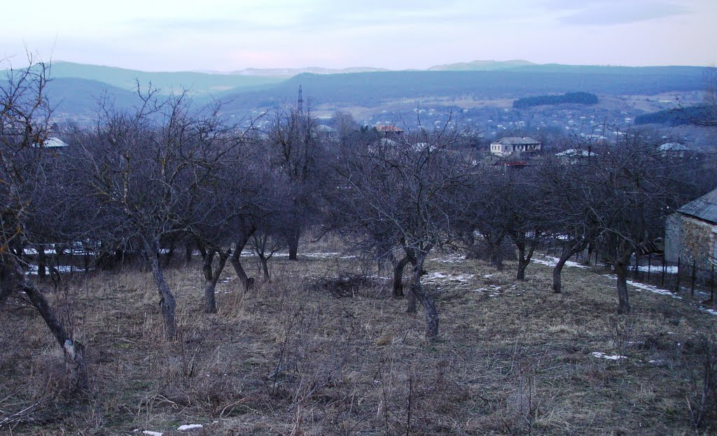 Village Dmanisi