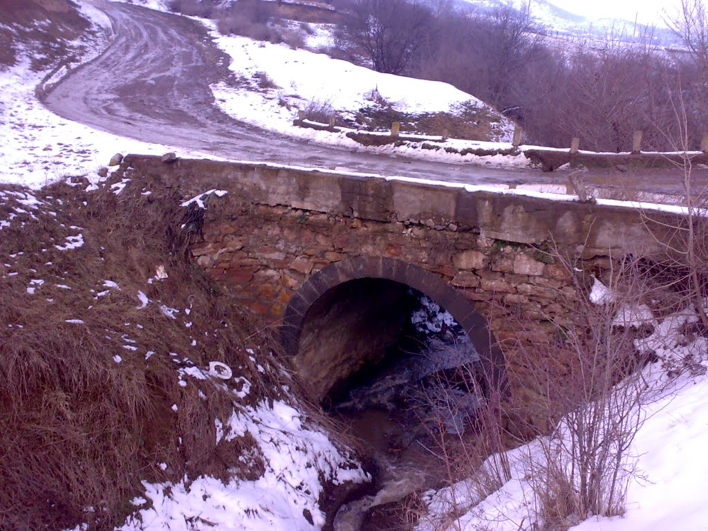 Korpu