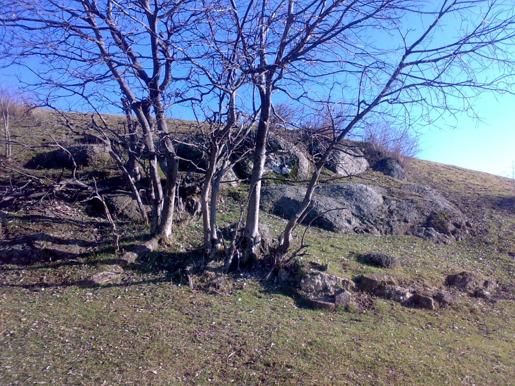 Gozellik