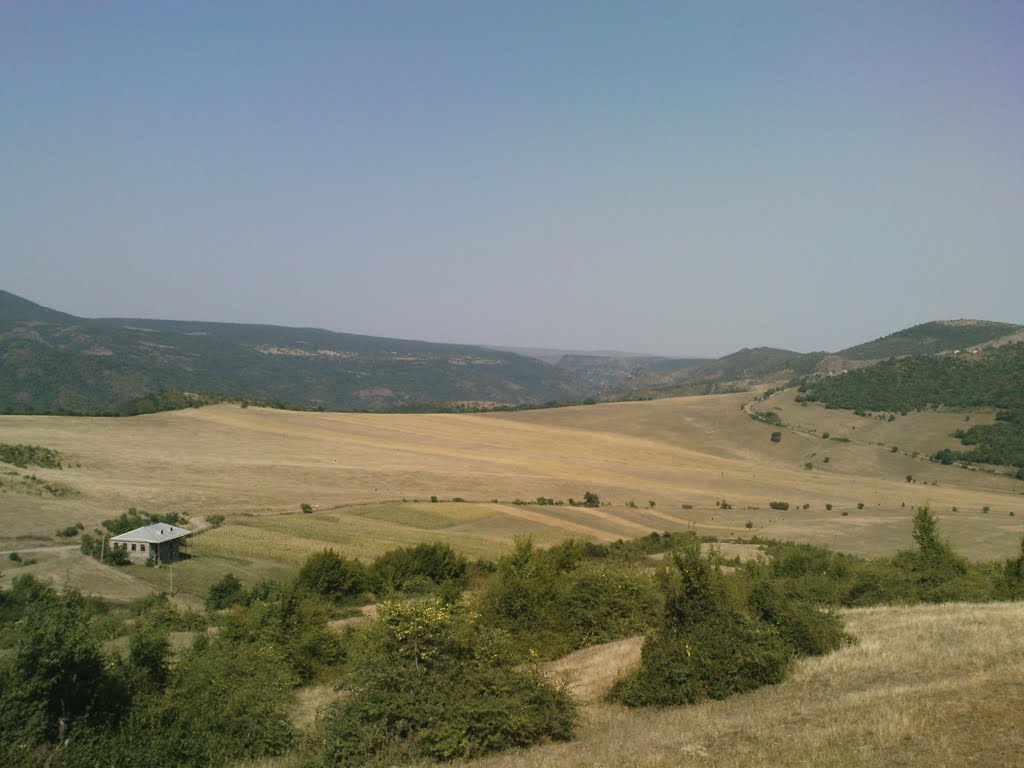 Kendin bicin sahesi