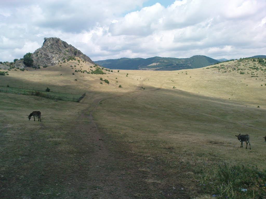 Otlaq sahesi