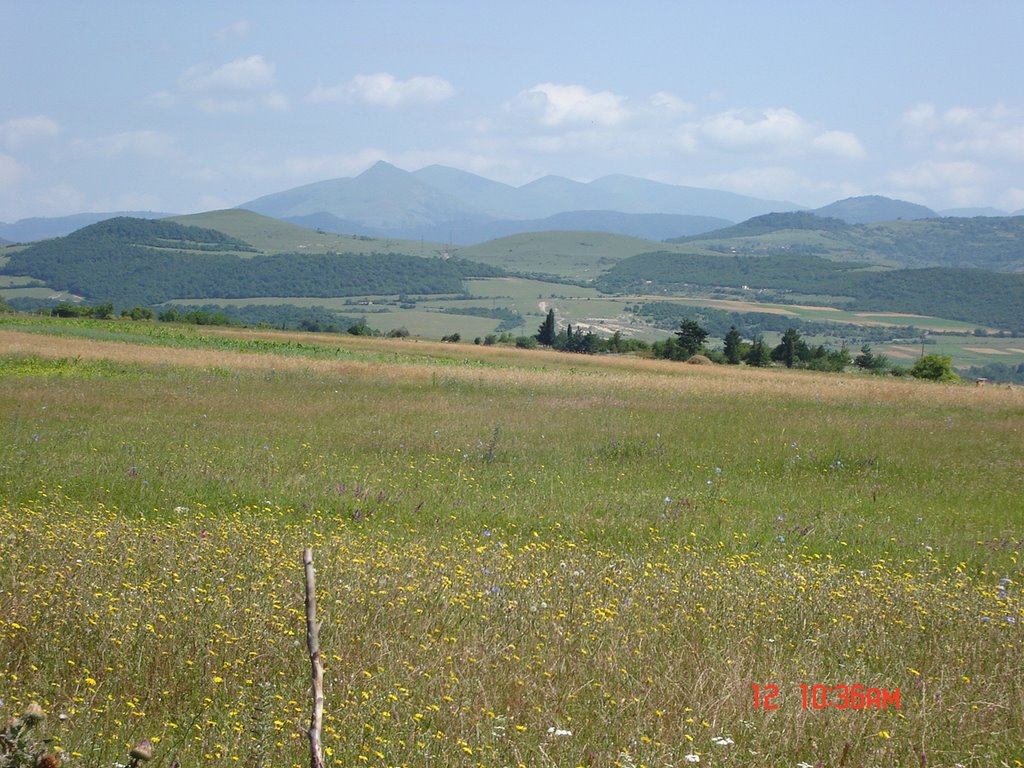 Zhinvali