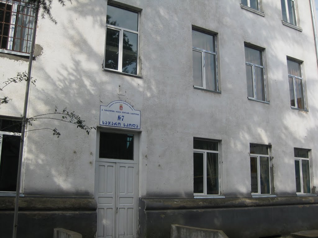 7 საჯარო სკოლა