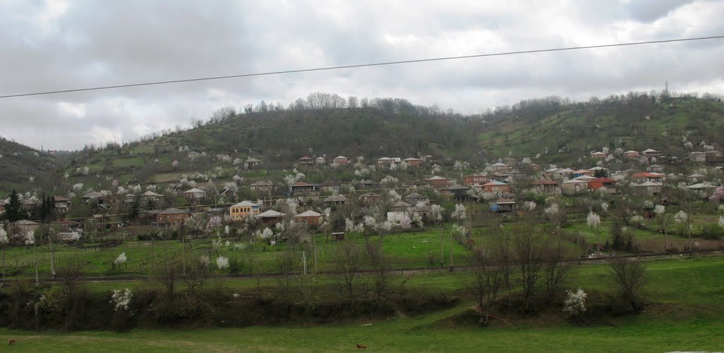 ზესტაფონი