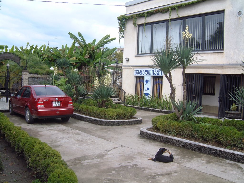 VETERINARY CLINIC,ZUGDIDI