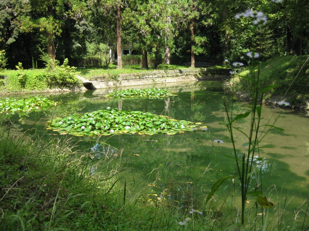 botanical gardens