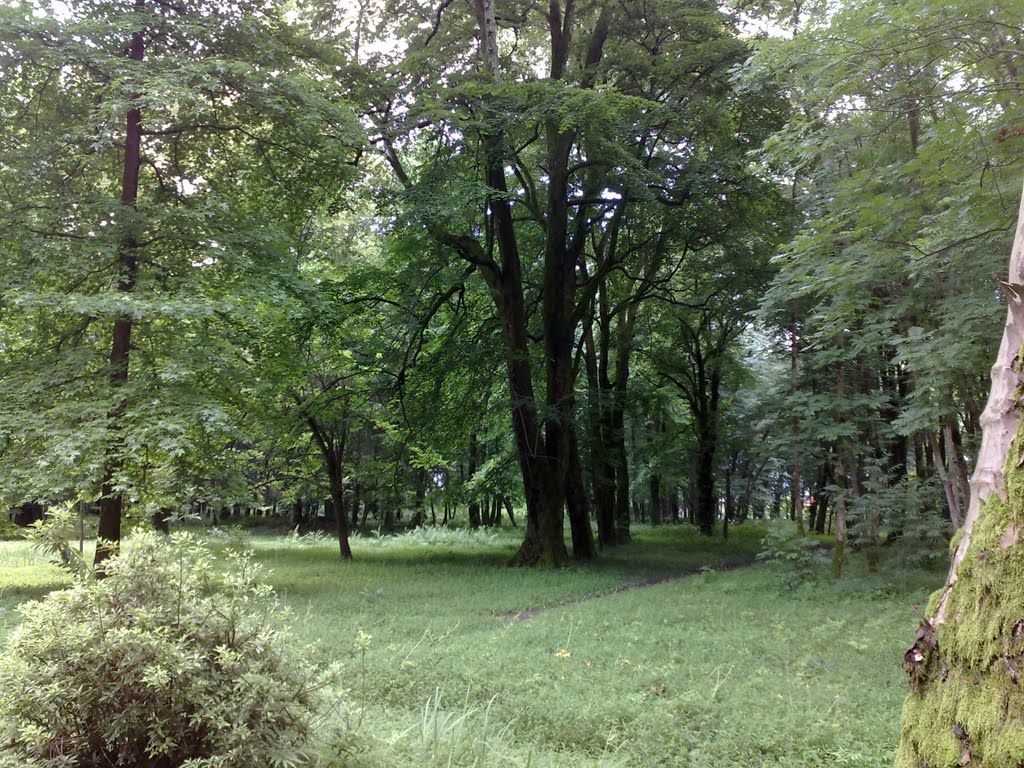 Ботанический сад