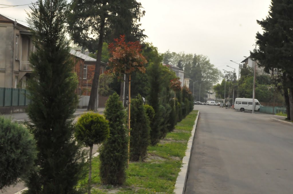 Zugdidi