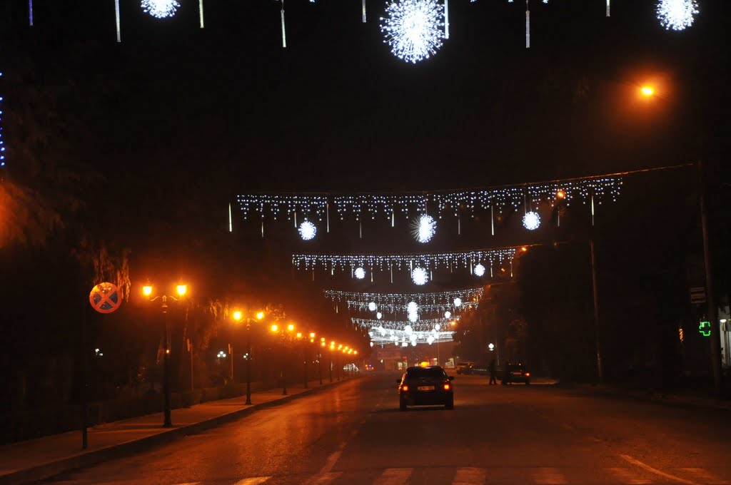 Zugdidi-2011