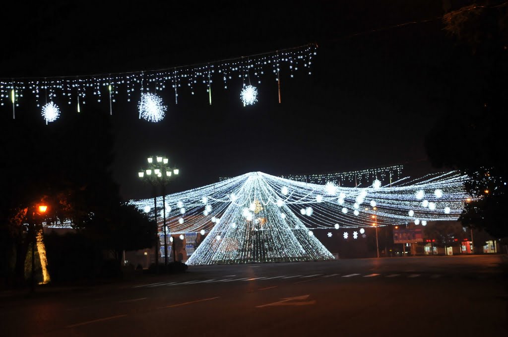 Zugdidi-2011
