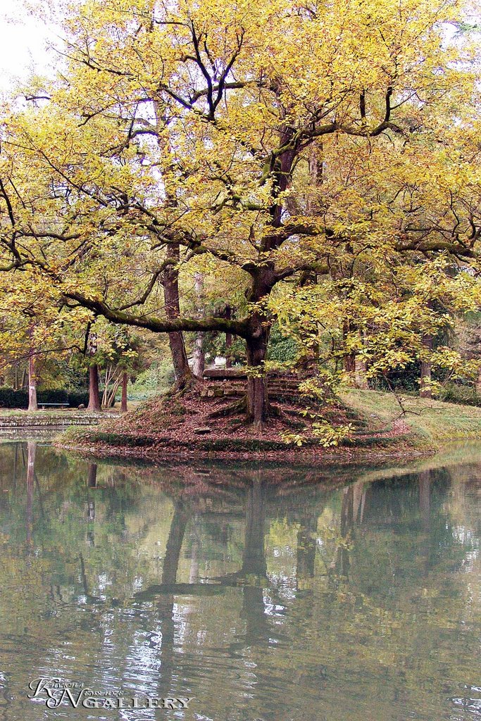 Zugdidi, botanical garden