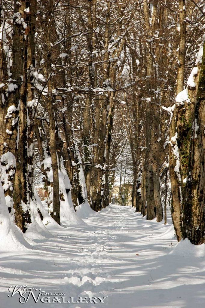 Zugdidi, botanical garden