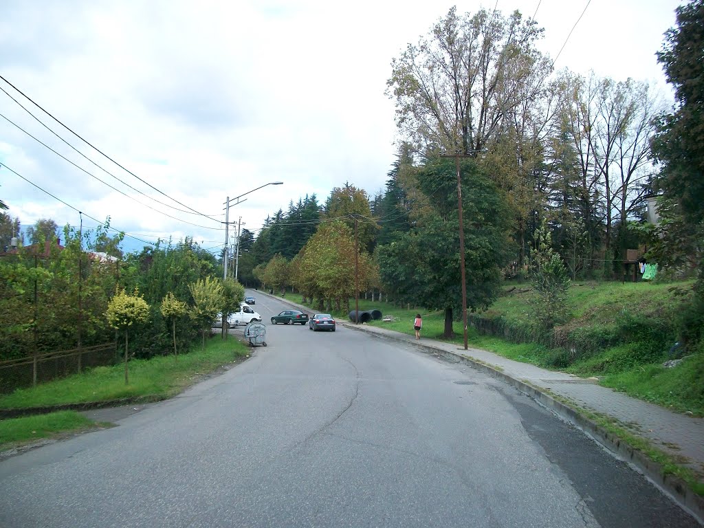 Road to Sukhumi