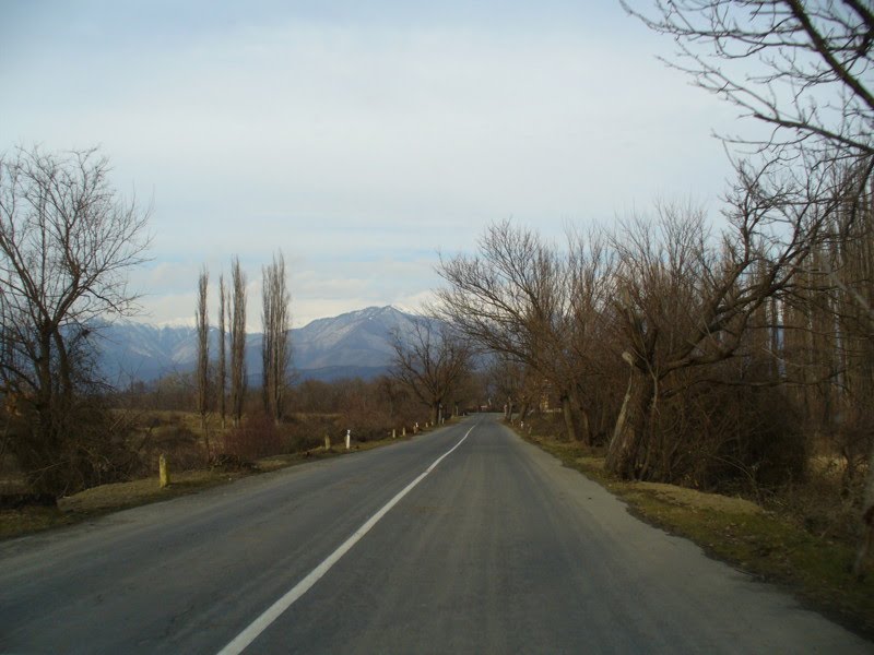 On the road to Kvareli