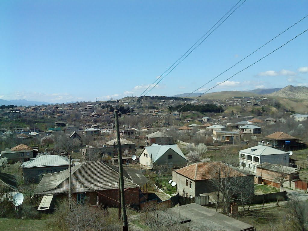 gerebis ubani