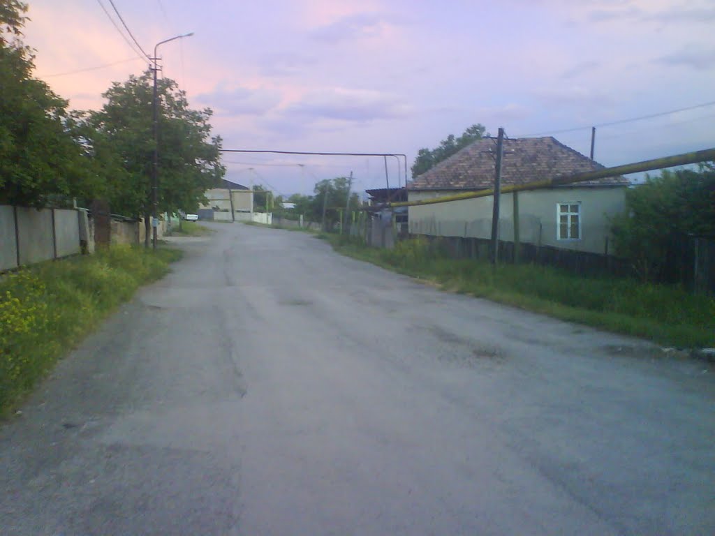 kaspi