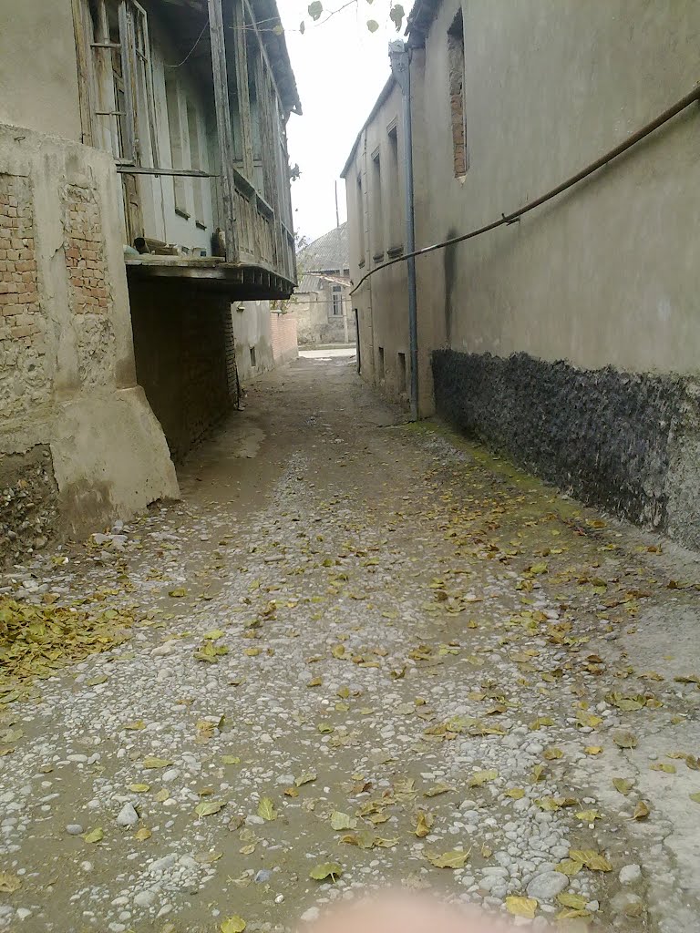 ძველი კასპი.
