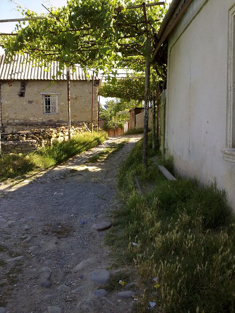 ძველი კასპი (3)