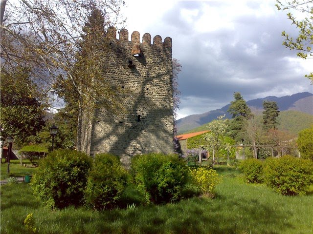 ციხე რომელშიც დაიბადა ილია. Tower in kvareli