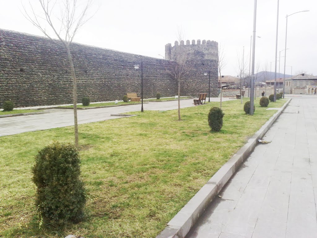 stadioni