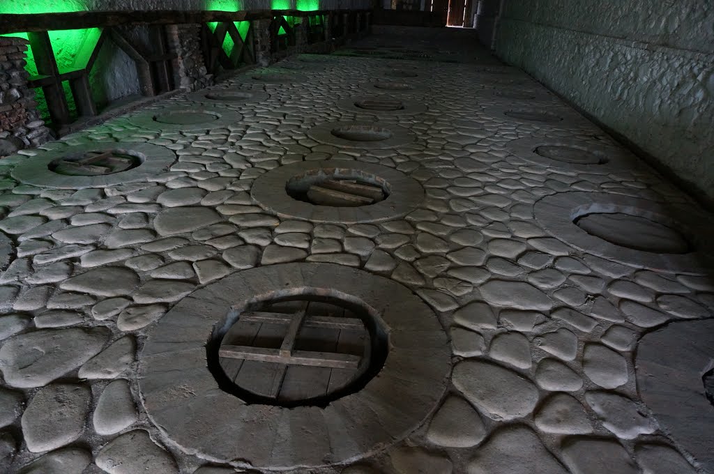 Kvareli. Tradizionali contenitori di terracotta per vino, interrati. Traditional   under ground wine cellar.