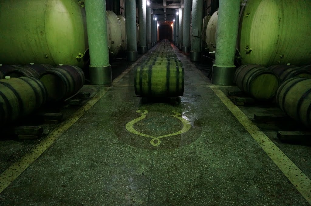 Kvareli. Cantina più moderna. A modern wine cellar.