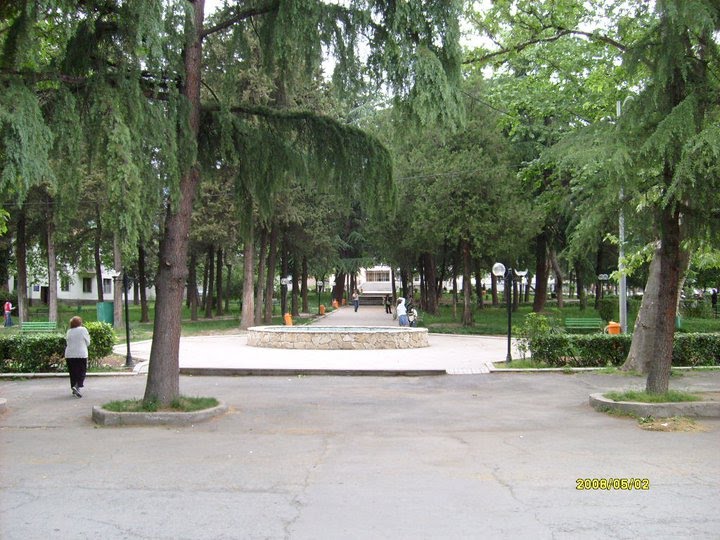 __ Facebook > ყვარელი / kvareli / kaxeti / georgia