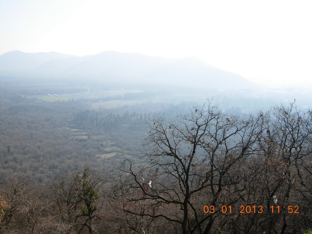 __ Facebook > ყვარელი / kvareli / kaxeti / georgia
