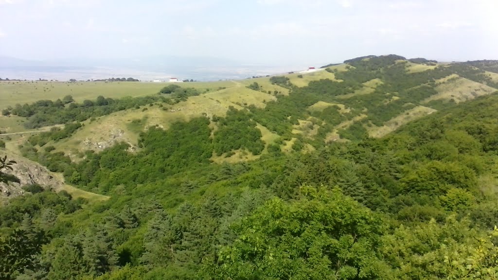 Near kojori