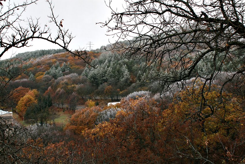 Near Kodjori