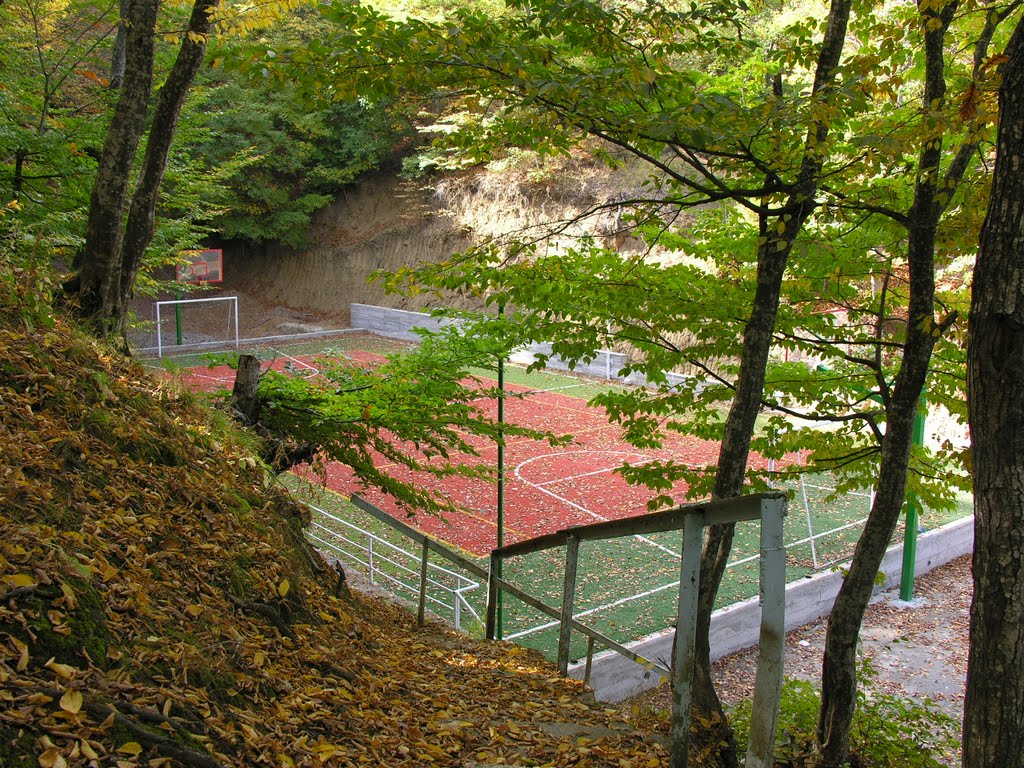 Buckswood International School - Tbilisi