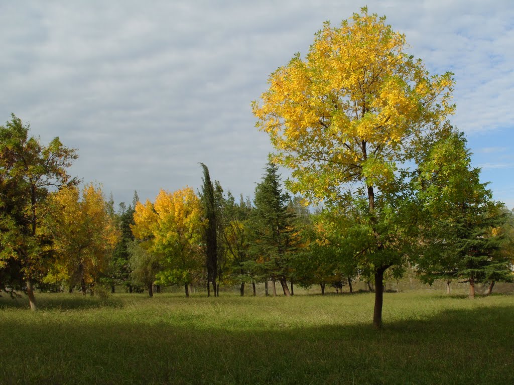 Autumn in Kutaisi