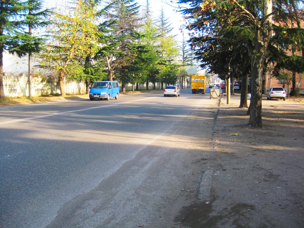 chavchavadze str
