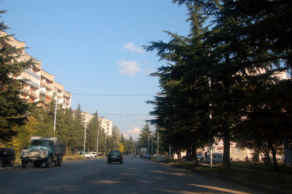 Abashidze street, 2011