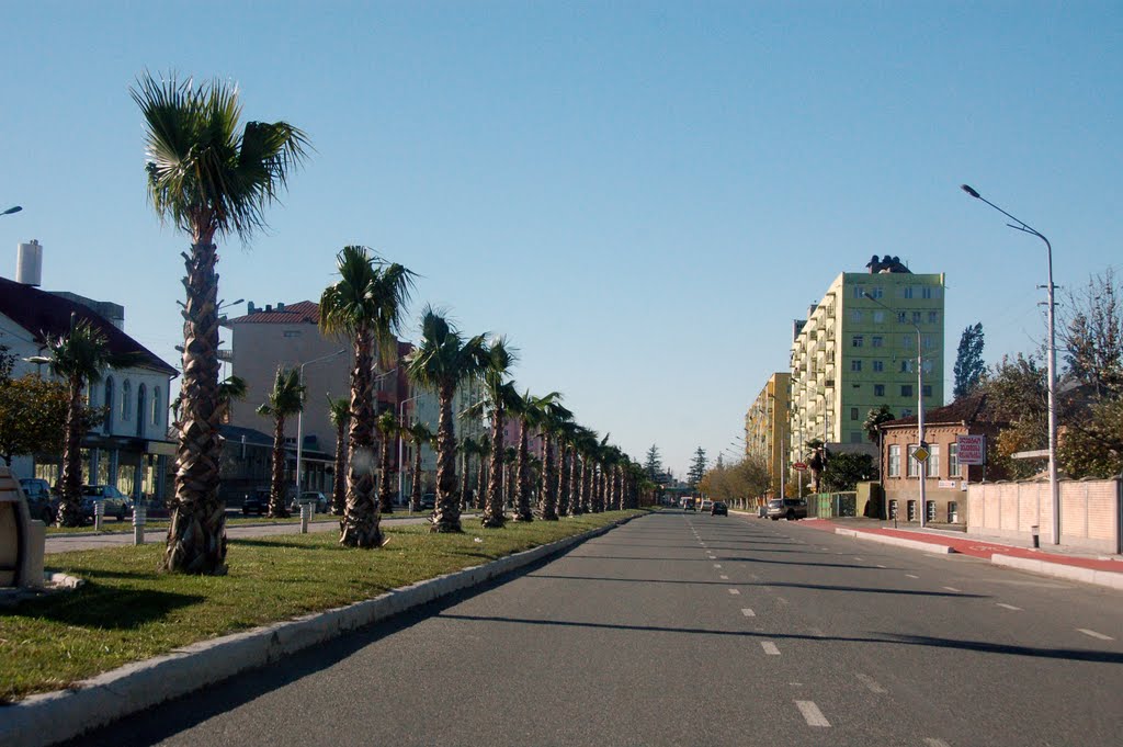 Agmashenebeli ave., 2011