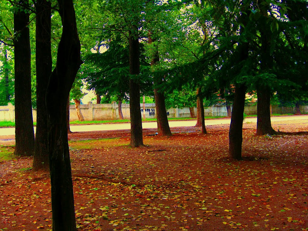 kutaisi 2009...